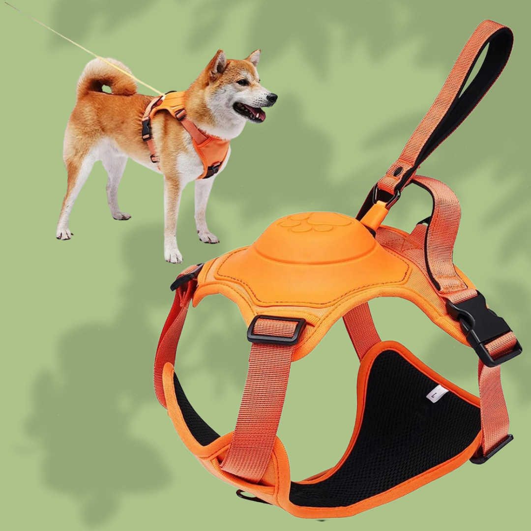 GROVE™ 2-In-1 Harness