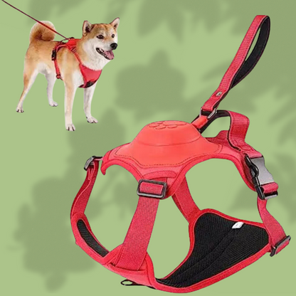 GROVE™ 2-In-1 Harness