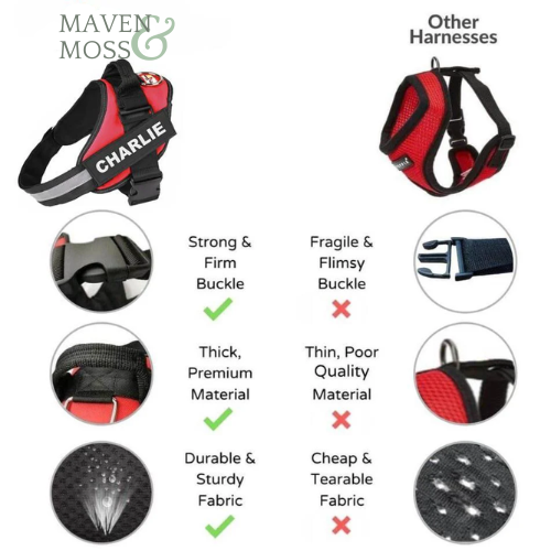 FERN™ Personalized No Pull Harness