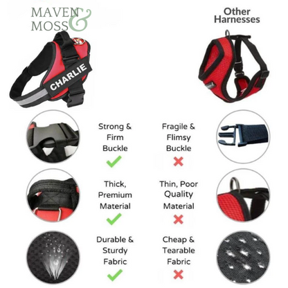 FERN™ Personalized No Pull Harness