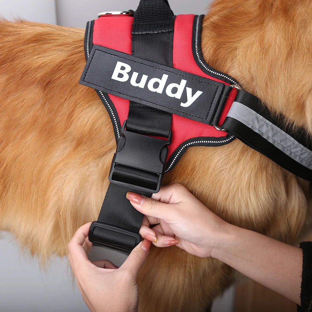 FERN™ Personalized No Pull Harness