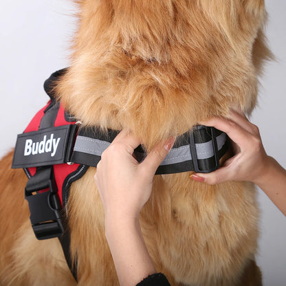 FERN™ Personalized No Pull Harness