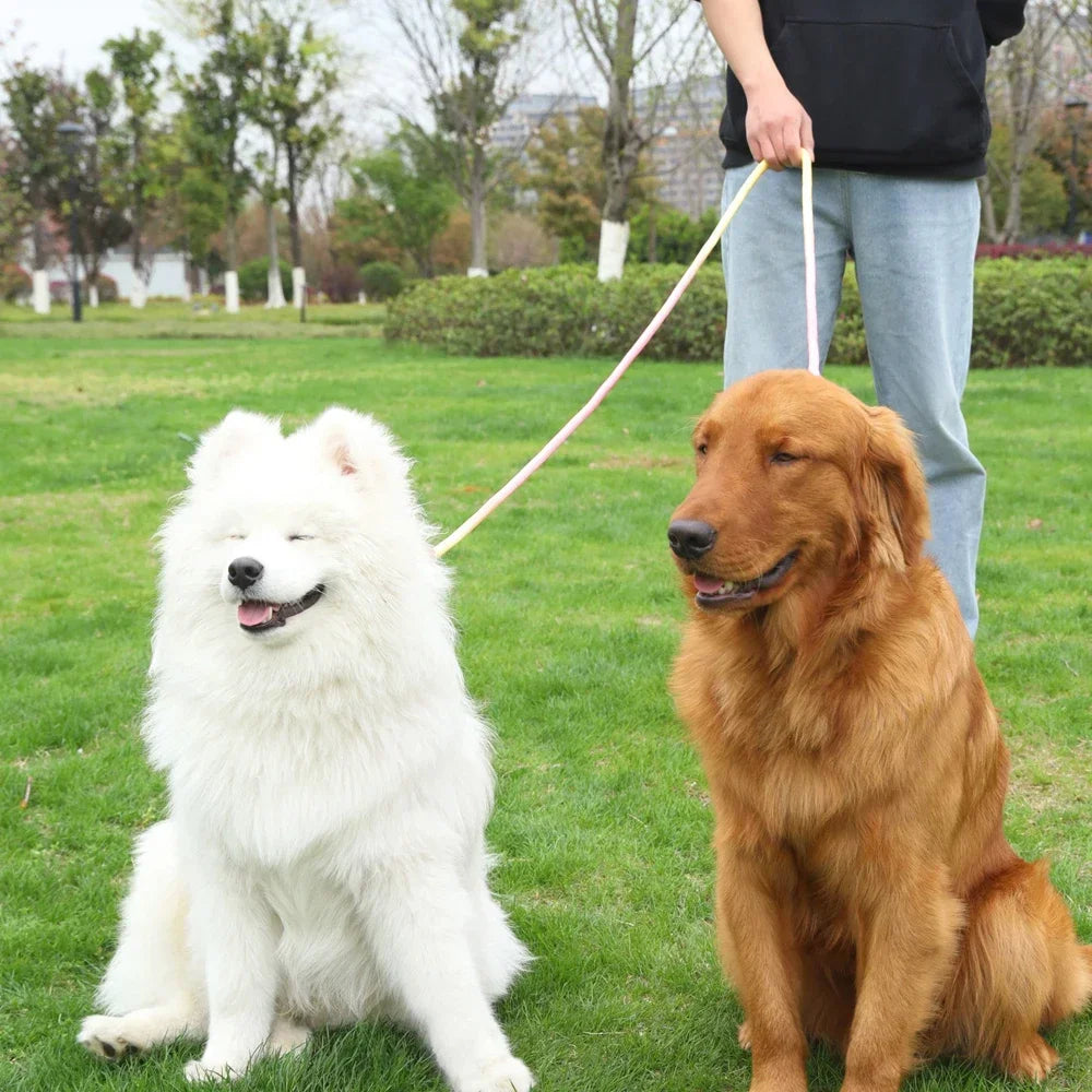 M&M Hands Free Leash