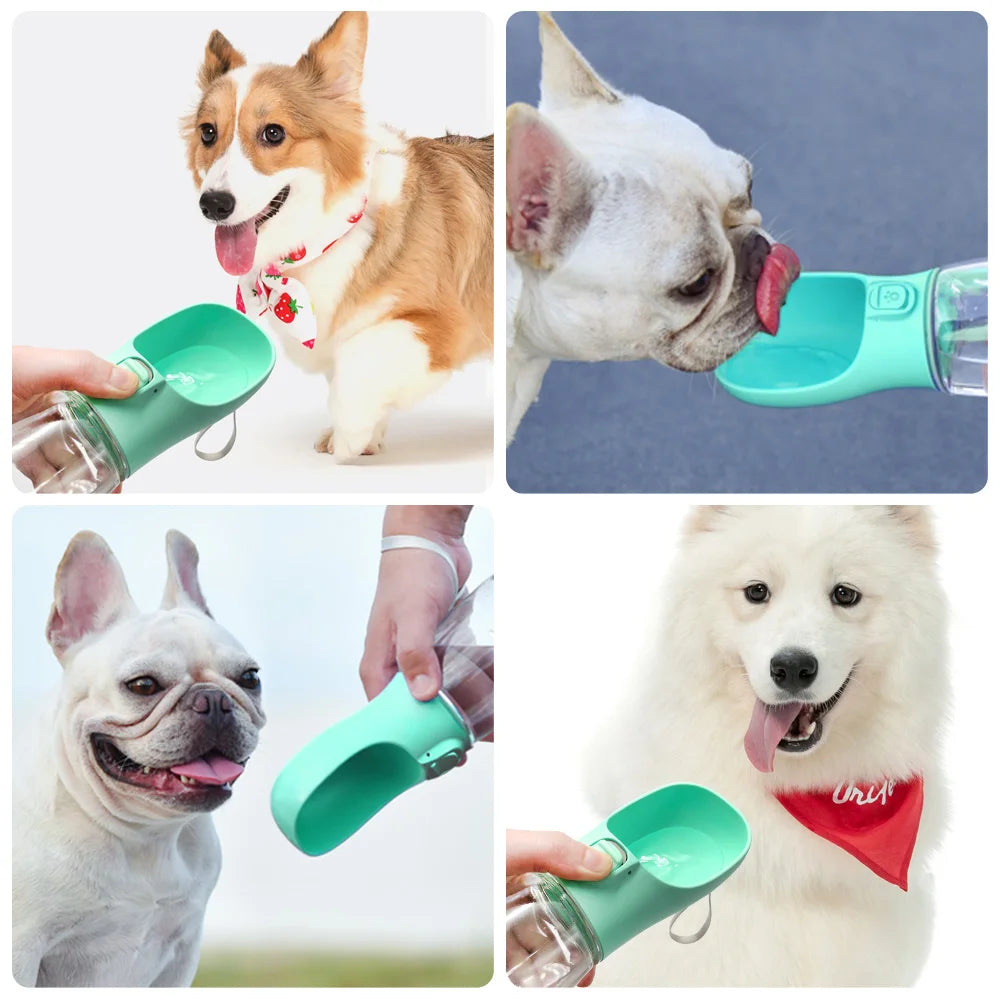 The Doggy Water Bottle