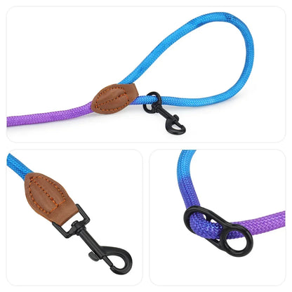 M&M Hands Free Leash