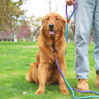 M&M Hands Free Leash