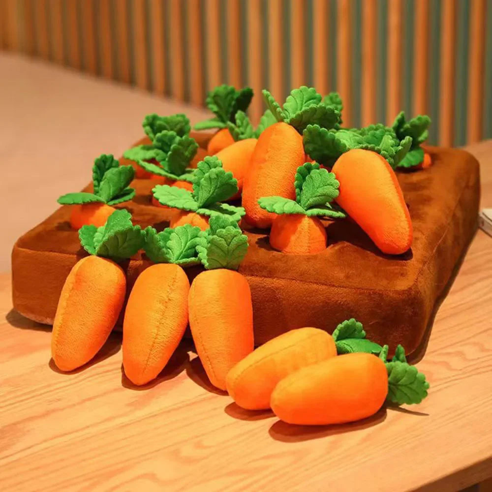 Carrot Craze Snuffle Mat