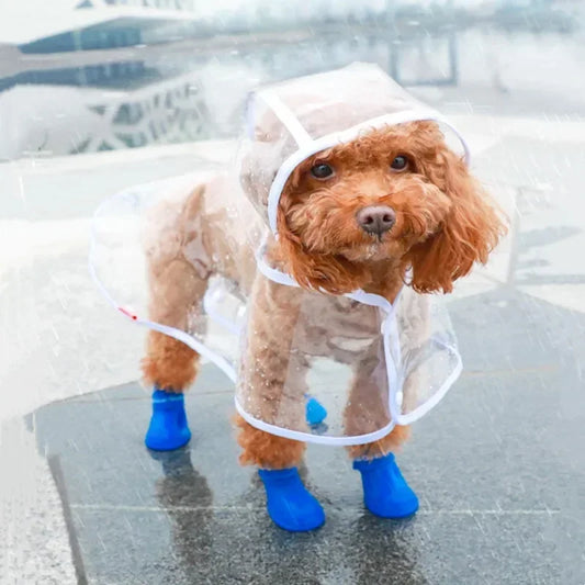 Clear Doggy Rain Poncho