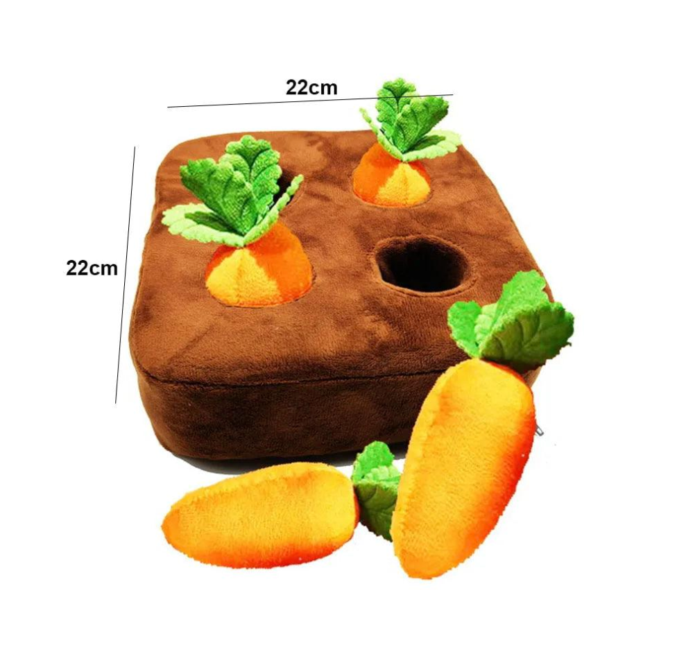 Carrot Craze Snuffle Mat