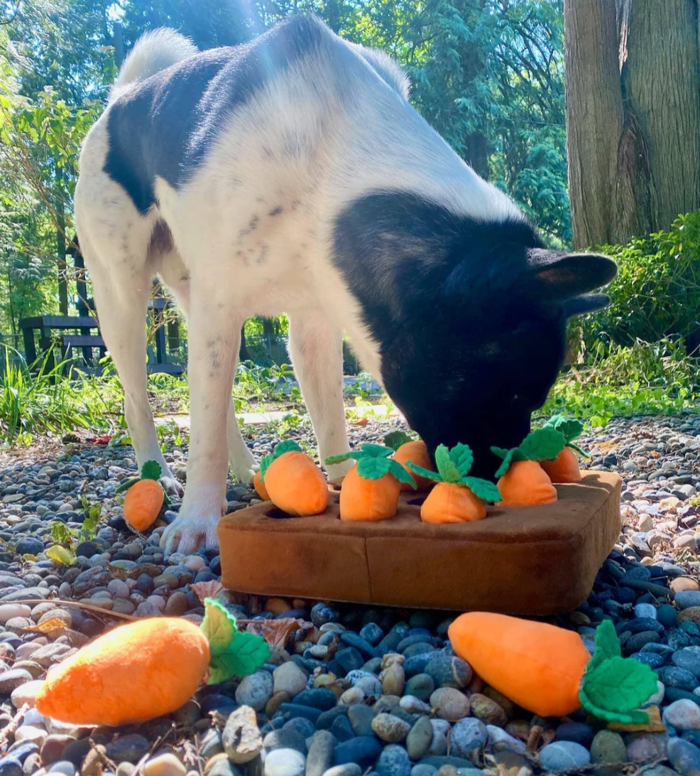 Carrot Craze Snuffle Mat