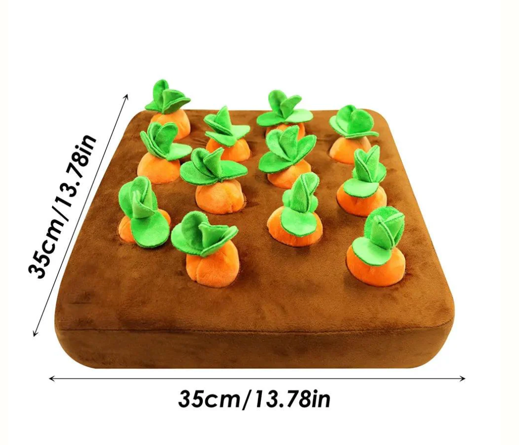 Carrot Craze Snuffle Mat