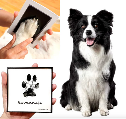 Forever Paw™ Kit