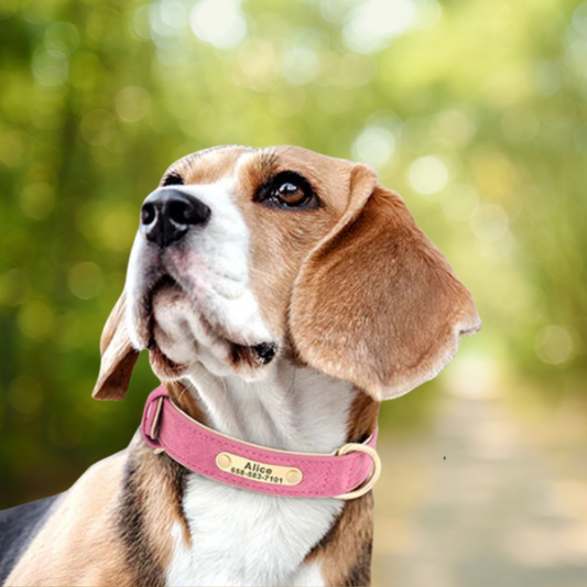 Personalized Leather Dog Collar