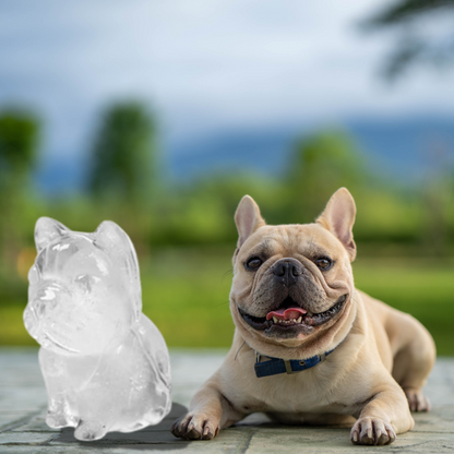 Frenchie Ice Mold